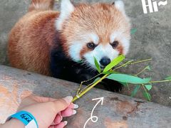 -北京野生动物园