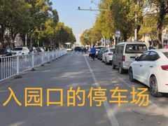-高东镇樱花园