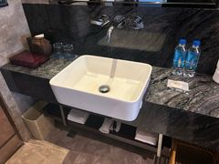 -河源万绿湖美思威尔顿酒店