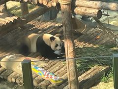 -大连森林动物园