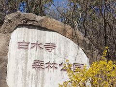 -白水寺森林公园