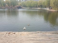 -石家庄市动物园