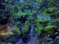 -Chom Cafe and Restaurant