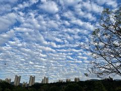 -牛岗山公园