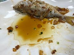 -洞背山庄(洞背院区式管理小区店)