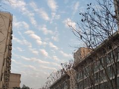 -卓粤拉肠(红庙店)