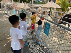 -三亚亚龙湾天域度假酒店