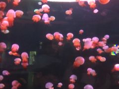 -多彩贵州城极地海洋世界