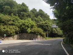 -铁山坪森林公园