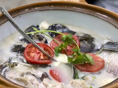 -全乐鱼馆·淳牌有机鱼直营店