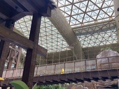 -杭州开元森泊度假乐园