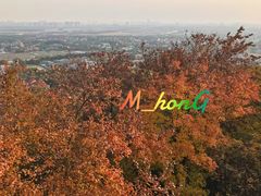 -上海佘山国家森林公园西佘山园