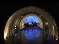 -迪拜帆船酒店海底餐厅