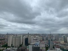 -上海波特曼丽思卡尔顿酒店