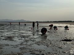 -刘家湾赶海园
