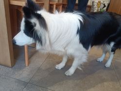 -美愈美肤MEIYU SKIN