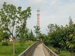 -羊亭河湿地公园