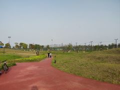 -春花秋色城市公园