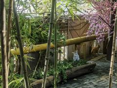 -一叶觅山(半边街店)