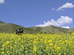 -扁都口生态休闲旅游区