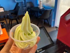 -萨朗刀克冰淇淋雪花凉(植物园店)