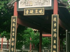 -碧江金楼