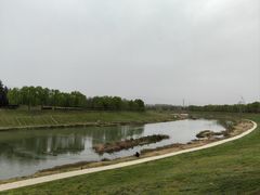 -洨河生态公园