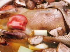 -红烧鸭老鸭汤(金泉路店)