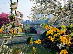 -海棠花溪(元大都城垣遗址公园)