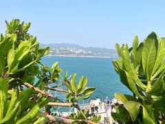 -大梅沙海滨公园