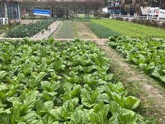 -洪湖家庭农场·团建·露营·会议
