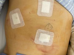 -上海市东方医院(总院)