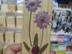 -南山杂货铺(昙华林路店)