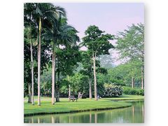 -中国科学院西双版纳热带植物园