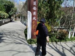 -莲湖公园