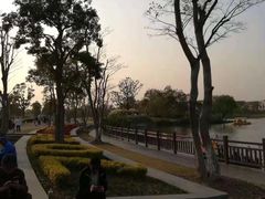 -上海长兴岛郊野公园