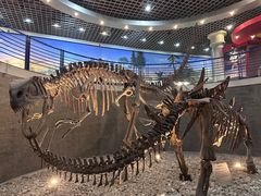 -国家自然博物馆