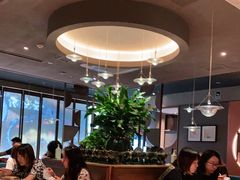 大堂-云海肴·汽锅鸡·云南菜(领展购物广场·中关村店)