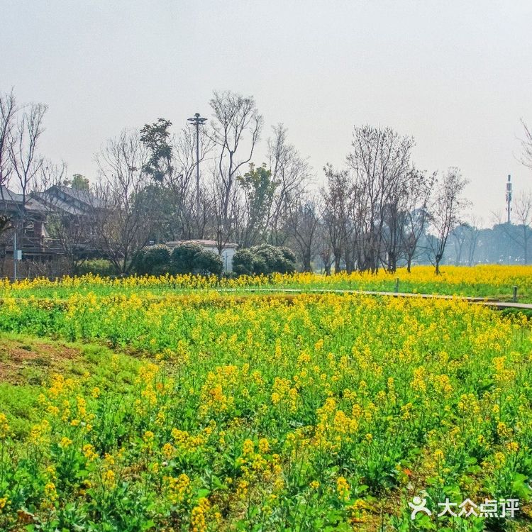 天府芙蓉园火锅庄园图片