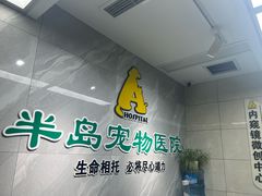 -半岛宠物医院24小时(白果林店)