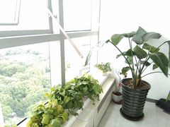 -新航道雅思托福·留学·考研培训(人民广场校区)