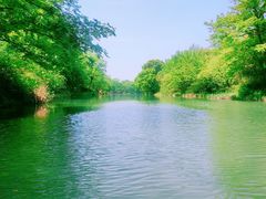 -西溪国家湿地公园