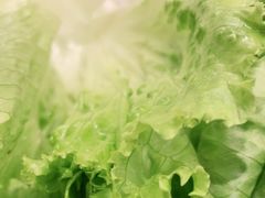 -新石器烤肉(招商1872店)