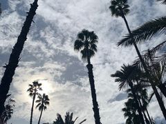 -马洛雷勒花园