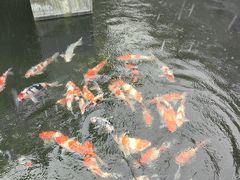-长春观