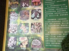 -江川野生菌火锅铜锅鱼(贵清火锅店)