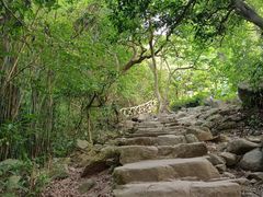 -梧桐山风景名胜区