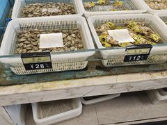 -莆鑫海鲜城(浏河店)