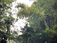 -藏龙百瀑风景区