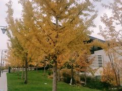 -北京雁栖湖国际会展中心